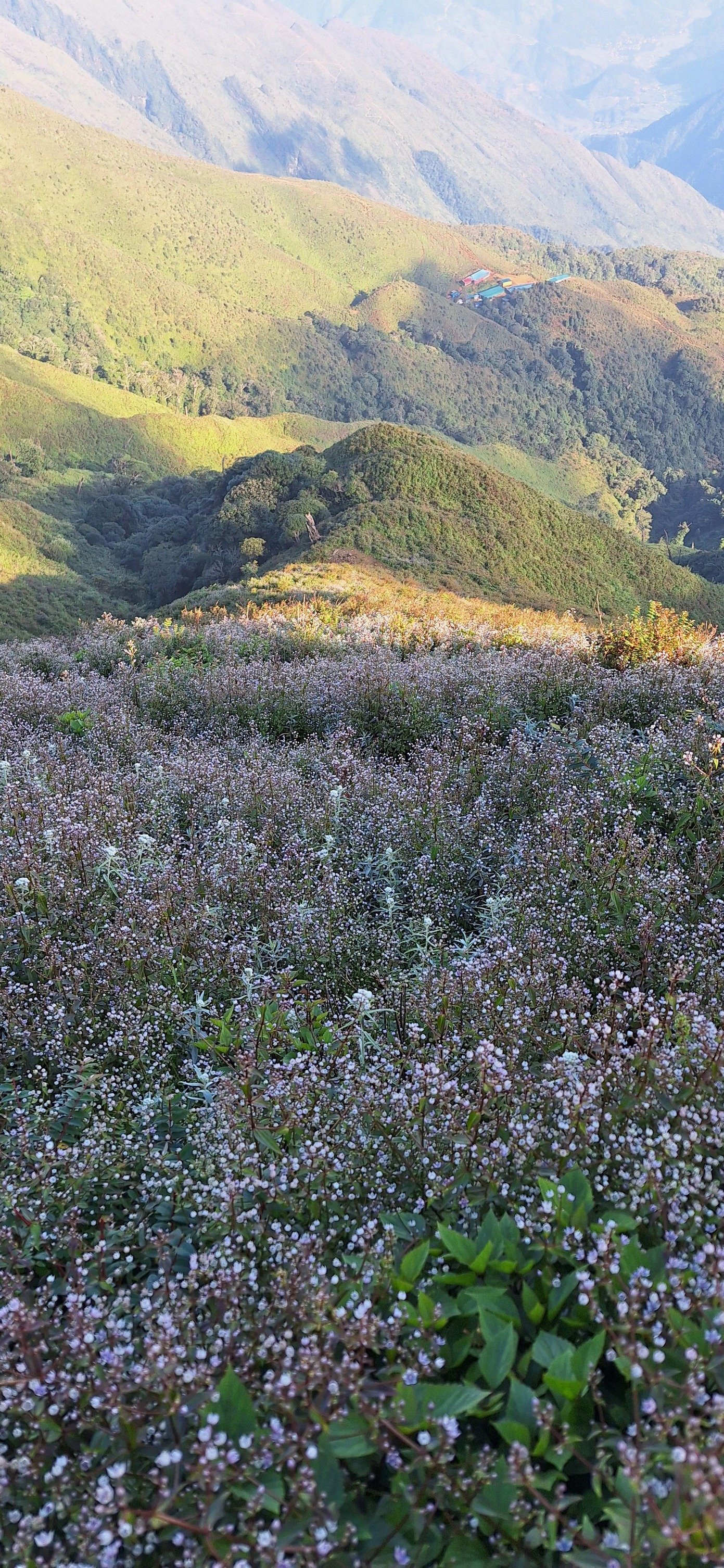 7 Days Hanoi - Hagiang - Hoang Su Phi Hiking Tour